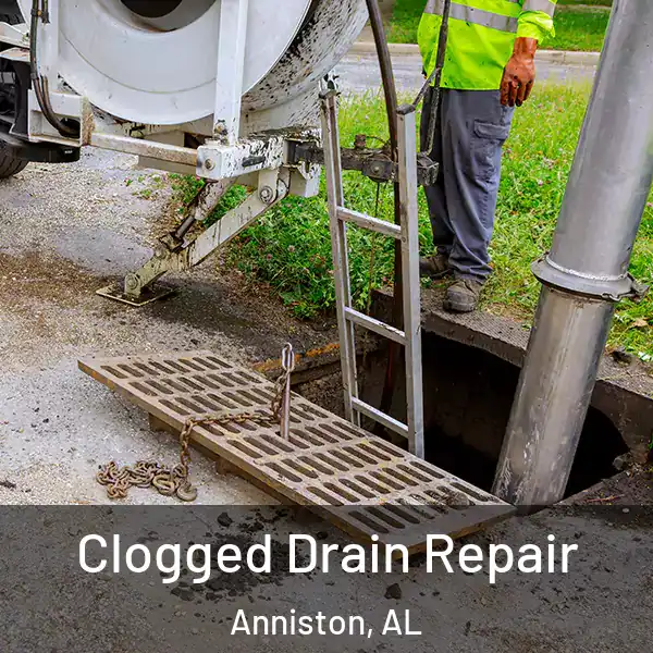  Clogged Drain Repair Anniston, AL
