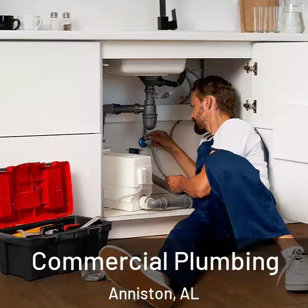  Commercial Plumbing Anniston, AL