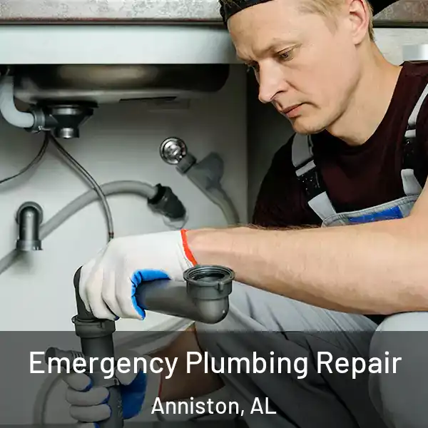  Emergency Plumbing Repair Anniston, AL