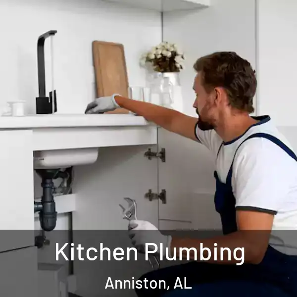  Kitchen Plumbing Anniston, AL