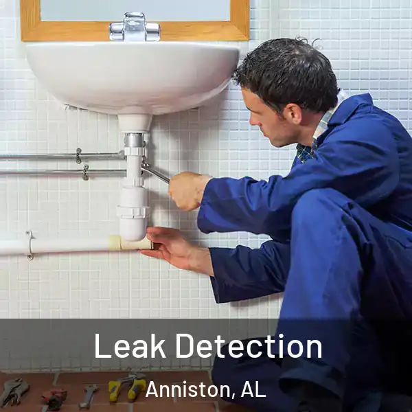  Leak Detection Anniston, AL