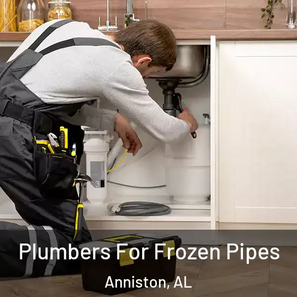  Plumbers For Frozen Pipes Anniston, AL