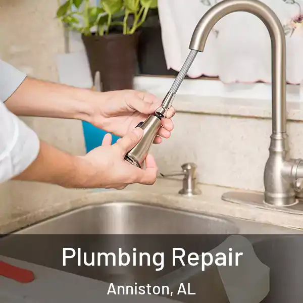  Plumbing Repair Anniston, AL