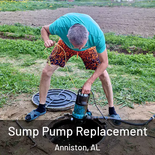  Sump Pump Replacement Anniston, AL