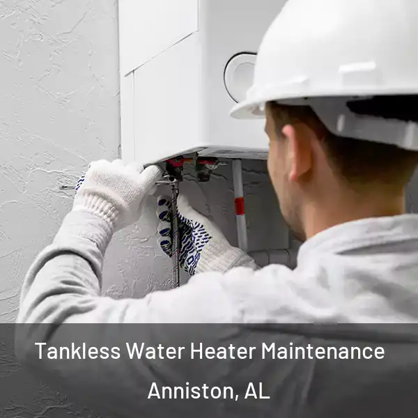  Tankless Water Heater Maintenance Anniston, AL