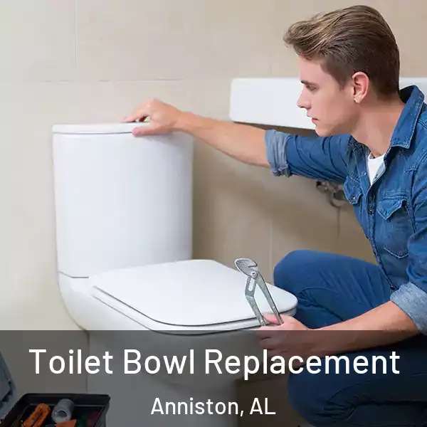  Toilet Bowl Replacement Anniston, AL