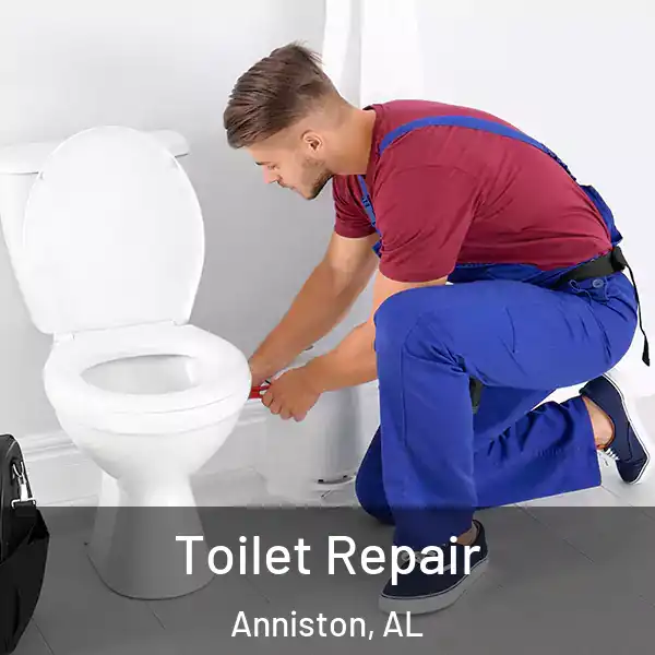  Toilet Repair Anniston, AL