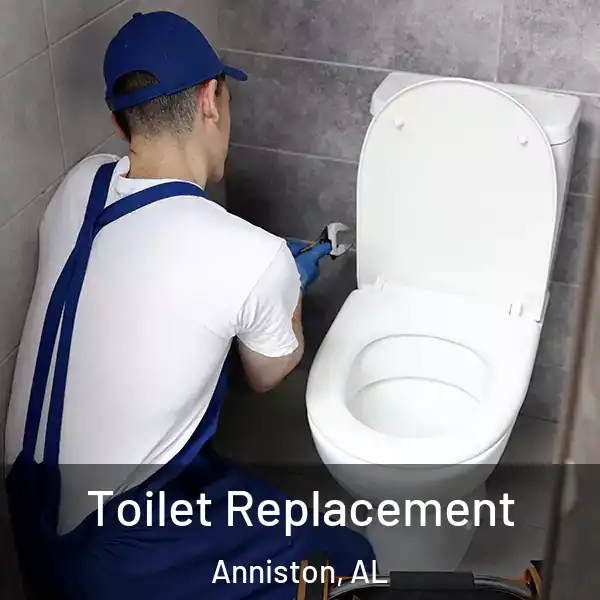  Toilet Replacement Anniston, AL
