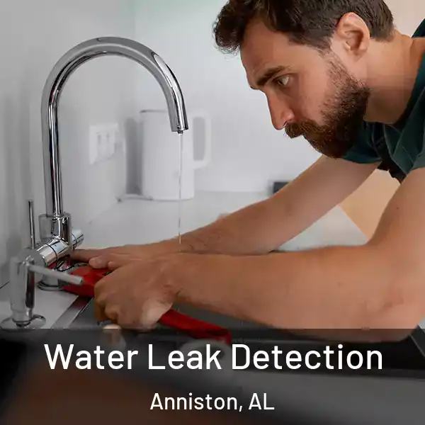  Water Leak Detection Anniston, AL