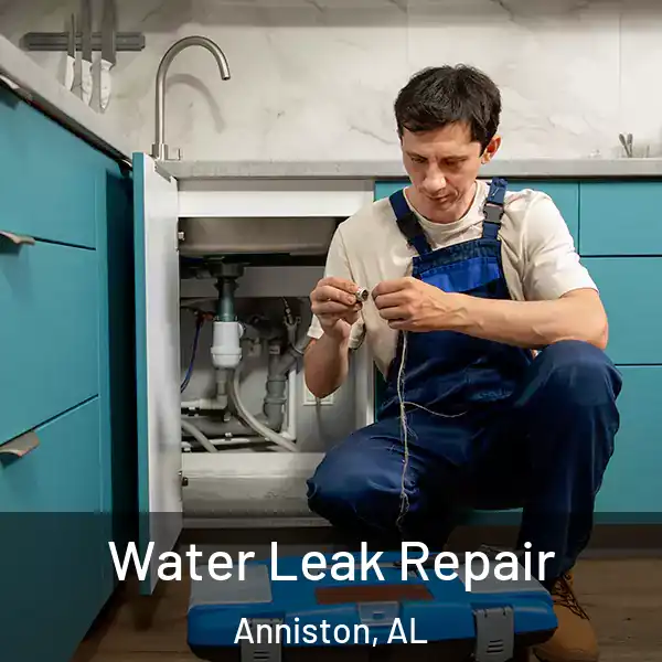  Water Leak Repair Anniston, AL